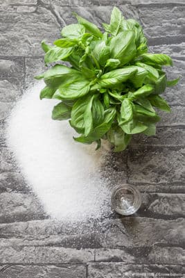 basilito-liquore-al basilico-ricetta-contemporaneo-food
