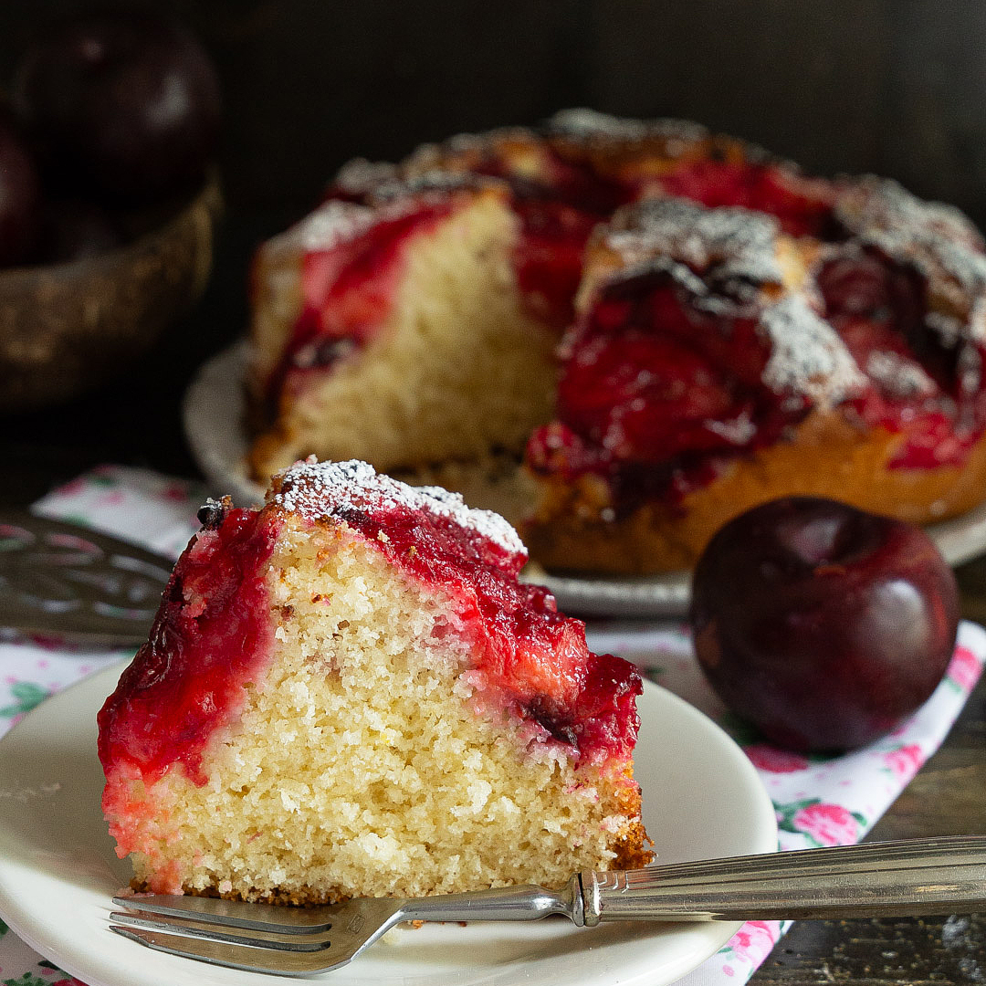 torta-sofficissima-cocco-prugne-merenda-dolce-fatto-in-casa-contemporaneo-food